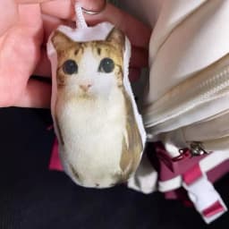 Funny Viral Meowl Cat Plush Sound Keychain, Soft Stuffed Animal Bag Charm, Cute Backpack Pendant Gift for Cat Lovers & Friends
