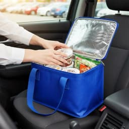 Leakproof Insulated Lunch Cooler Bag - Collapsible, Waterproof Thermal Tote with Ice Pack for Delivery & Outdoors