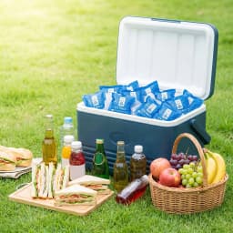 100Pcs Self-absorbing Ice Packs 7x7cm Reusable Cooling Ice Bags Summer Food Drinks Fresh Keeping Cold Pack For Seafood Fruit Del