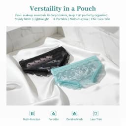 Portable Zippered Makeup Storage Bag Inspired by Lace Mesh Briefs for Easy Cosmetic Organization