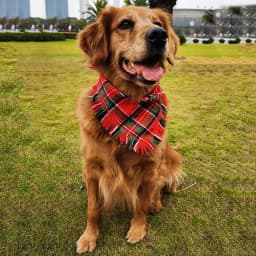 1 Piece Tassel Style Big Dog Bandana for Medium Large Dogs Pet Triangular Bandage Saliva Towel Mascotas Grooming Accessories