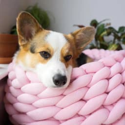 Super Cat Bed Warm Sleeping Cat Nest Soft Long Weave Strap Pet Dog Bed for Dogs Basket Cushion Cat Bed Cat Mat Animals Sleeping