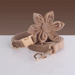 Light Coffee Velvet Harness for Dogs Personalized Mini Size Collar for Cat Tiny Dogs Soft Adjustable Bowtie Collar and Leash Set