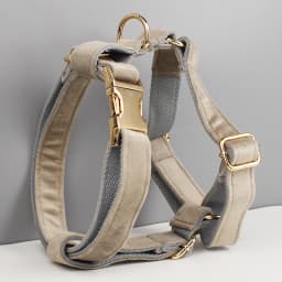 Light Grey Velvet Dog Collar And Leash Set with Custom Engraved Nameplate Pet Supplies for Dogs Soft 12-Length Leash