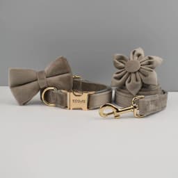 Light Grey Velvet Dog Collar And Leash Set with Custom Engraved Nameplate Pet Supplies for Dogs Soft 12-Length Leash