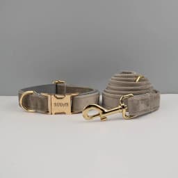 Light Grey Velvet Dog Collar And Leash Set with Custom Engraved Nameplate Pet Supplies for Dogs Soft 12-Length Leash