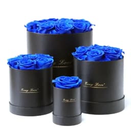 Preserved Rose Flower Round Hug Bucket Gift Box Eternal Flower Immortal Rose Wedding Valentines Day Gift For Girlfriend Mum Wife