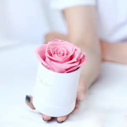 Preserved Rose Flower Round Hug Bucket Gift Box Eternal Flower Immortal Rose Wedding Valentines Day Gift For Girlfriend Mum Wife
