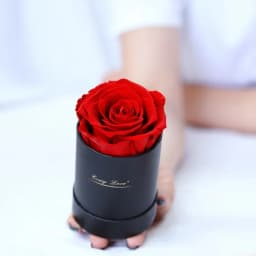 Preserved Rose Flower Round Hug Bucket Gift Box Eternal Flower Immortal Rose Wedding Valentines Day Gift For Girlfriend Mum Wife