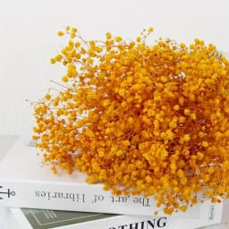 130g Natural Dried Preserved Flowers Babys Breath Home Decoration Natrual Gypsophila Wedding Decor Artificial Flower Photo Props