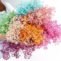 130g Natural Dried Preserved Flowers Babys Breath Home Decoration Natrual Gypsophila Wedding Decor Artificial Flower Photo Props