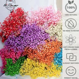 130g Natural Dried Preserved Flowers Babys Breath Home Decoration Natrual Gypsophila Wedding Decor Artificial Flower Photo Props
