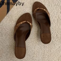Designer Vintage Clip Toe Women Slippers Elegant Low Heels Slide Shoes Fashion Stripper Party Dress Summer Flip Flop Shoes