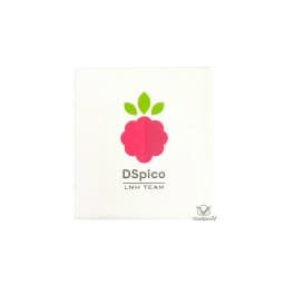 2-10PCS DSpico for NDS NDSL DSi 3DS Consoles An R4 Card Alternative Featuring Built-in RP2040 MCU and Upgraded USB-C Port