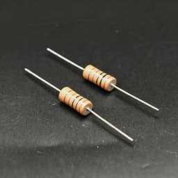2pcs Original Japan 2W 3W 10R--1M Biliary Machine CD Decoding Signal Audio Audiophile Tantalum Metal Resistor for NIKKOHM TKD