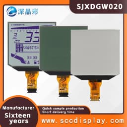 Customized Anti Glare Motorcycle Monochrome Segment Screen SJXDGW020 FSTN Positive Anti Glare Pen Segment Car LCD Display Screen