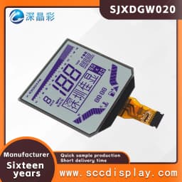 Customized Anti Glare Motorcycle Monochrome Segment Screen SJXDGW020 FSTN Positive Anti Glare Pen Segment Car LCD Display Screen