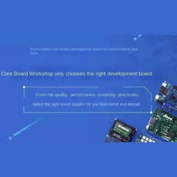 VoltSTronlong Allwinner T536 Industrial Development Board With Cortex-A55 CPU, RISC-V Core, NPU AI And 17 UART Ports