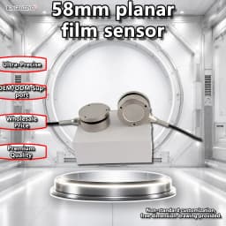 Stainless Steel Flat Type Load Cell 58mm 0-2T Safe Overload 120% for Industrial Force Measurement Ton Compression Force