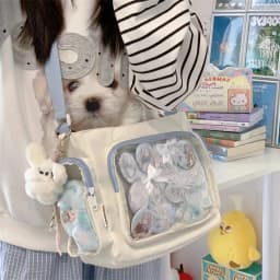 Trendy Transparent Simple Crossbody Bag for Girls Large Capacity School Shoulder Bag Comfortable and Versatile Texture Ita Bag