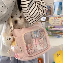 Trendy Transparent Simple Crossbody Bag for Girls Large Capacity School Shoulder Bag Comfortable and Versatile Texture Ita Bag
