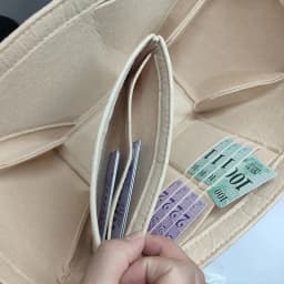 Bag Organizer Insert Lining Fit For Cyme Or Cyme Mini tote,Bag Storage Pouch And Organization Inner Liner Purse Keep Shaper