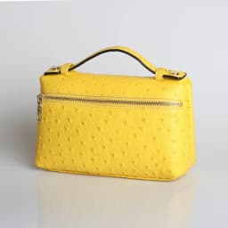 XMESSUN New Fashion Designer Handbag Ostrich Pattern Portable Bag Clutch Bag 2026 Lady Hand Bag Purse Make Up Bag Trend Bag