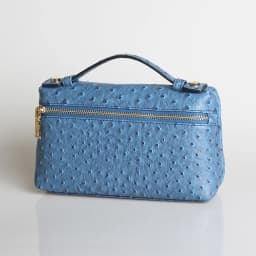 XMESSUN New Fashion Designer Handbag Ostrich Pattern Portable Bag Clutch Bag 2026 Lady Hand Bag Purse Make Up Bag Trend Bag