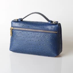XMESSUN New Fashion Designer Handbag Ostrich Pattern Portable Bag Clutch Bag 2026 Lady Hand Bag Purse Make Up Bag Trend Bag
