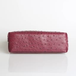 XMESSUN New Fashion Designer Handbag Ostrich Pattern Portable Bag Clutch Bag 2026 Lady Hand Bag Purse Make Up Bag Trend Bag