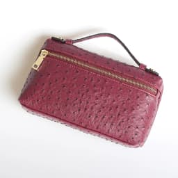 XMESSUN New Fashion Designer Handbag Ostrich Pattern Portable Bag Clutch Bag 2026 Lady Hand Bag Purse Make Up Bag Trend Bag