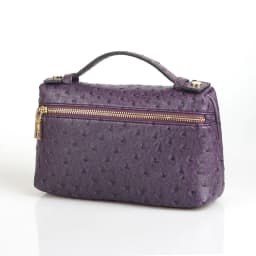 XMESSUN New Fashion Designer Handbag Ostrich Pattern Portable Bag Clutch Bag 2026 Lady Hand Bag Purse Make Up Bag Trend Bag