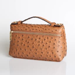 XMESSUN New Fashion Designer Handbag Ostrich Pattern Portable Bag Clutch Bag 2026 Lady Hand Bag Purse Make Up Bag Trend Bag