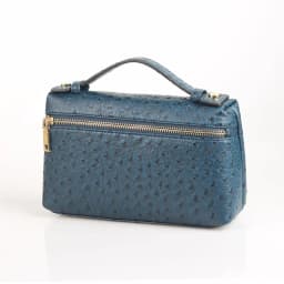 XMESSUN New Fashion Designer Handbag Ostrich Pattern Portable Bag Clutch Bag 2026 Lady Hand Bag Purse Make Up Bag Trend Bag