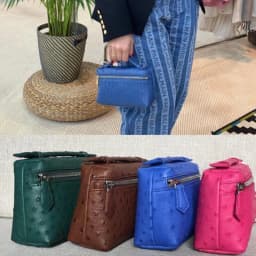 XMESSUN New Fashion Designer Handbag Ostrich Pattern Portable Bag Clutch Bag 2026 Lady Hand Bag Purse Make Up Bag Trend Bag