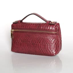 TOPHIIGH Newly Handbag Fashion Portable Make Up Bag For Women Clutch Snake Red Coffee Ladies Hand Bag Purse Ins Hot Selling