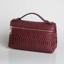 TOPHIIGH Newly Handbag Fashion Portable Make Up Bag For Women Clutch Snake Red Coffee Ladies Hand Bag Purse Ins Hot Selling