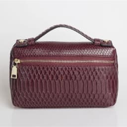 TOPHIIGH Newly Handbag Fashion Portable Make Up Bag For Women Clutch Snake Red Coffee Ladies Hand Bag Purse Ins Hot Selling