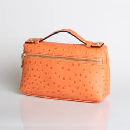 TOPHIIGH Newly Handbag Fashion Portable Make Up Bag For Women Clutch Snake Red Coffee Ladies Hand Bag Purse Ins Hot Selling