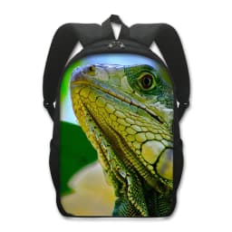 16 Inches Pet Frog Chameleon Snak Spider Animal Print Backpack Women School Bags for Travel Children Kids Book Bag Gift