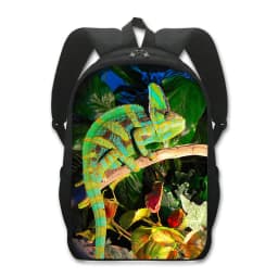 16 Inches Pet Frog Chameleon Snak Spider Animal Print Backpack Women School Bags for Travel Children Kids Book Bag Gift