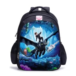 Cartoon How to Train Your Dragon School Bag for Girls Boys Orthopedic Primary Schoolbag Folded Children School Bag for Kids