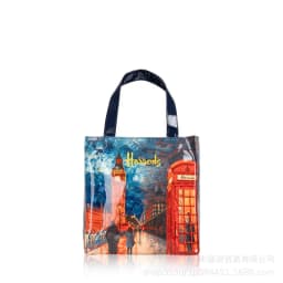 Shopping bag PVC tote bag small niche design waterproof tote bag eco-friendly versatile single shoulder bag lunch bag