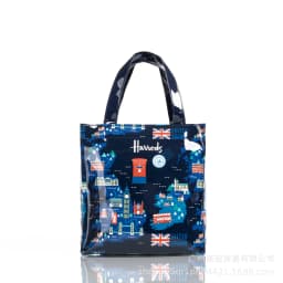Shopping bag PVC tote bag small niche design waterproof tote bag eco-friendly versatile single shoulder bag lunch bag