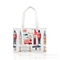 Shopping bag PVC tote bag small niche design waterproof tote bag eco-friendly versatile single shoulder bag lunch bag