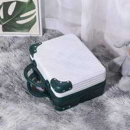 Hot Sales 14 inch Travel Suitcase Hand Mini Cosmetic Box Organizer Luggage Boarding Case For Women Travel Tote