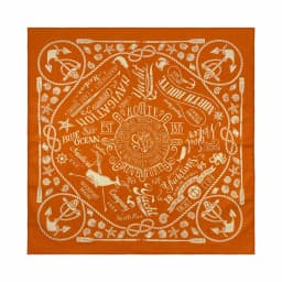Wholesale High Quality Skull Chimpanzees Print Cashew Hip Hop Cotton Square Bandana Scarf Riding Headband Paisley Gifts
