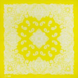 High Quality New Design Hip Hop Amoeba Cashew Cotton Square Scarf Black Bandana Scarf Headband Paisley Gifts Unisex