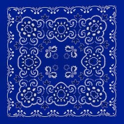 27inch/68cm Plus Size Cotton Square Scarf Hip Hop Amoeba Cashew Bandana Headband Black Paisley Turban Men Women Boys Girls Gifts