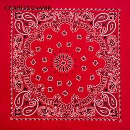 27inch/68cm Plus Size Cotton Square Scarf Hip Hop Amoeba Cashew Bandana Headband Black Paisley Turban Men Women Boys Girls Gifts